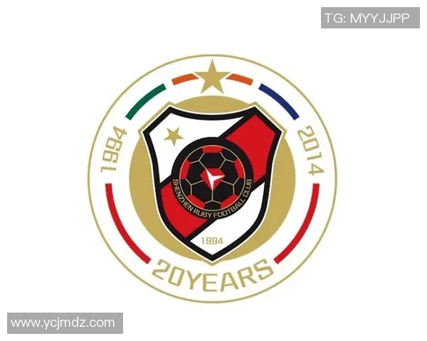 深圳足球队实力分析与数据解读探讨球队表现与未来发展潜力