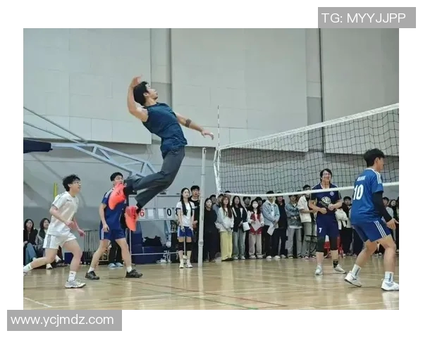 重庆排球队的拼搏之路:一段关于梦想与坚持的排球纪实故事 重庆排球队的拼搏之路:一段关于梦想与坚持的排球纪实故事