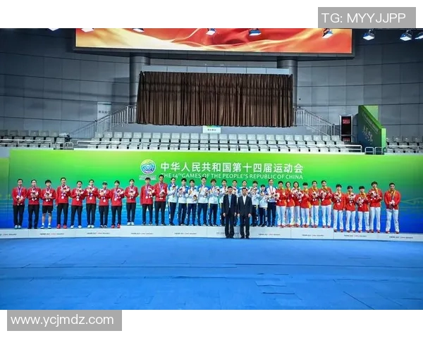 深圳羽毛球队全运会表现评析：经验与技术的完美结合