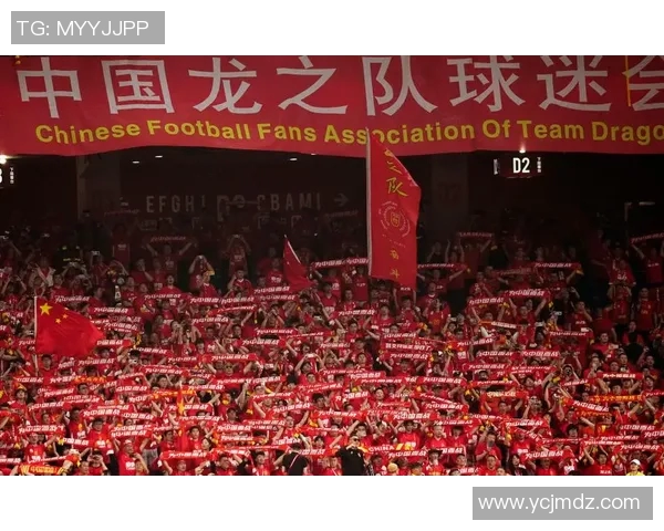 球迷热议上海足球明星表现与未来发展展望