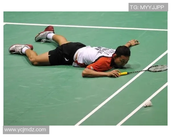 与羽毛球名将杨磊的深入对话探讨他的职业生涯与未来展望 与羽毛球名将杨磊的深入对话探讨他的职业生涯与未来展望