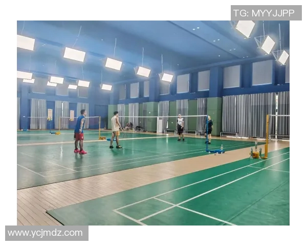 上海羽毛球队的耐力训练与竞技表现深度剖析