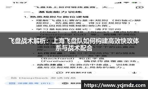 飞盘战术解析：上海飞盘队如何构建高效快攻体系与战术配合