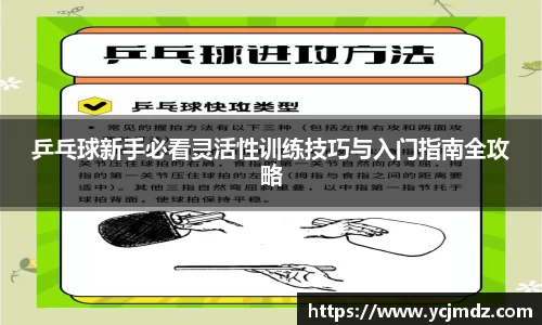 乒乓球新手必看灵活性训练技巧与入门指南全攻略